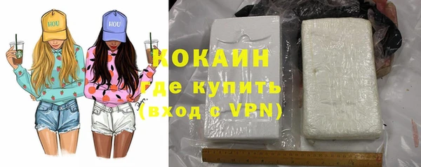 молекула духа Покров