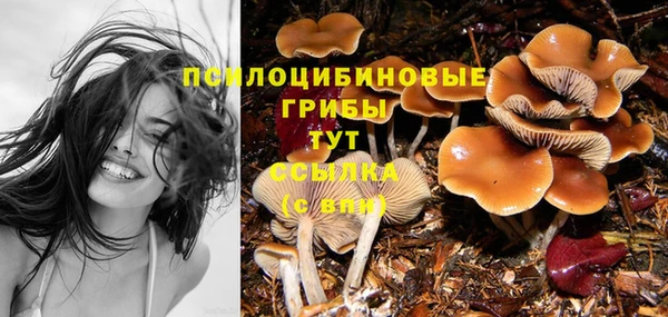 молекула духа Покров