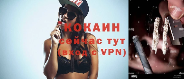 молекула духа Покров