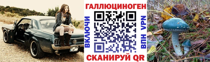 Галлюциногенные грибы Cubensis Нальчик