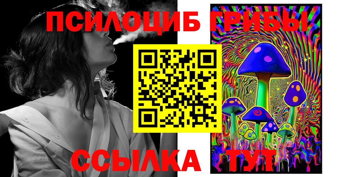 Нальчик  Псилоцибиновые грибы прущие грибы  Вход с VPN 