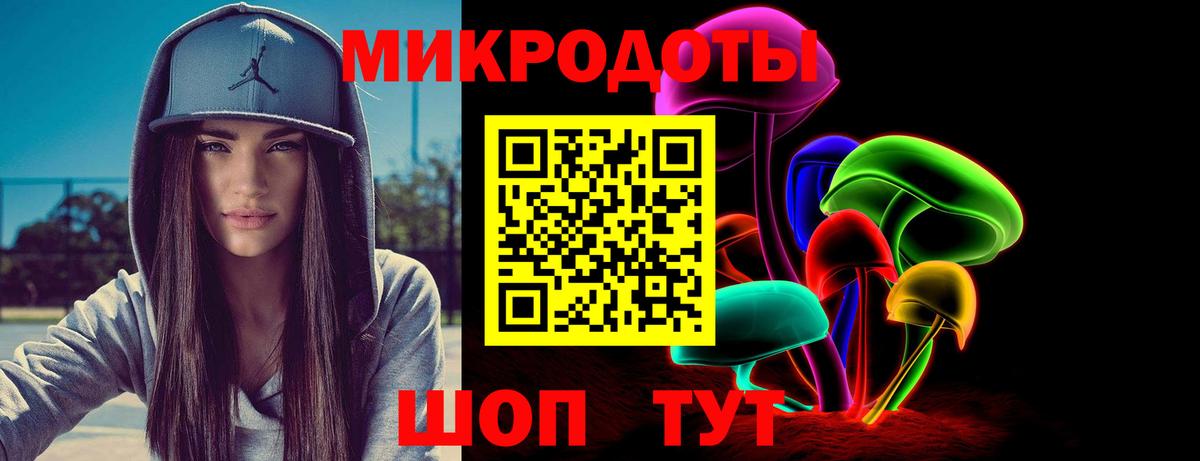 Галлюциногенные грибы Psilocybe Нальчик