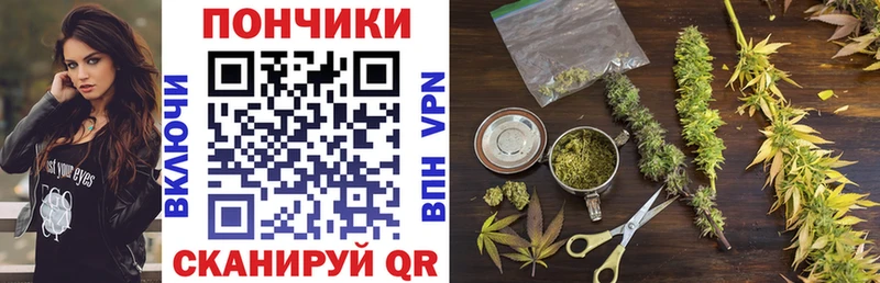 Марихуана индика  даркнет сайт  Нальчик 